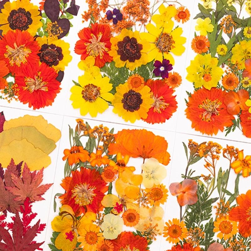 Flor prensada seca para moldes - Resin Craft Ideas avaliação e preço